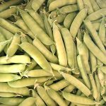 Chícharo 1 Chícharo