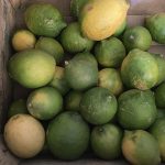 Limón