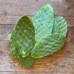 Nopales sin espinas